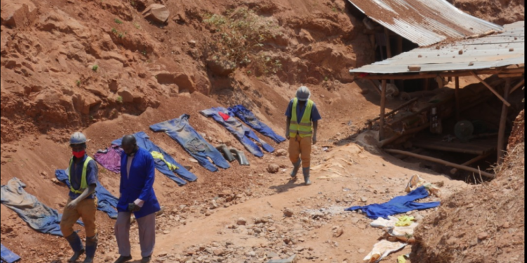 Rwamagana: Company Ets HAJOS LTD yafashe ingamba nziza kugirango ikomeze igire imikorere myiza