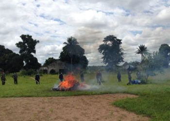 Abasirikare batwitse imifuka ine y’urumogi mu gace ka Kikwit muri DR. Congo