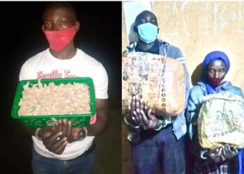Rubavu: bamwe mu bakekwaho gukwirakwiza urumogi bafashwe