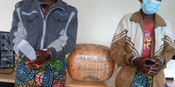 Abagore babiri bafatanywe udupfunyika 6.500 tw’urumogi mu karere ka Musanze