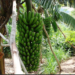 Made in Rwanda: inganda zitunganya ibinyobwa bisembuye zibonye ibikoresho bigezweho zakora neza kurushaho