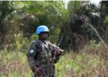 Centrafrika: Inyeshyamba ziri kugaba ibitero si musiga ingabo z’u Rwanda zikahabonera ishema