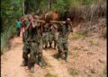 Gisagara: Ingabo z’Igihugu zafatanyije n’abaturage gusana ikiraro cyambukwaga bigoranye