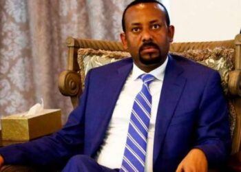 Abiy admits Eritrean troops entered Tigray