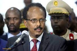 Somali president wants term limits removed