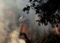 India Covid: Delhi builds makeshift funeral pyres