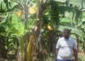 Semwiza J Damascene wihebeye ubuhinzi n’ubworozi akomeje kubuteza imbere abubyaza umusaruro
