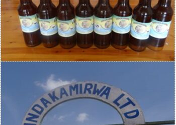 Huye : Uruganda Indakamirwa ltd ruri ku isonga mu kongerera agaciro umusaruro w’ibitoki