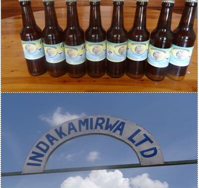 Huye : Uruganda Indakamirwa ltd ruri ku isonga mu kongerera agaciro umusaruro w’ibitoki