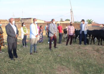 Huye: Abarokotse Jenoside batishoboye bahawe inka, abacuruzi bahombejwe na Covid-19 baragobokwa
