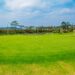 Mu mafoto: Irebere uburanga bwa Kigali Golf Course yatashywe ku mugaragaro