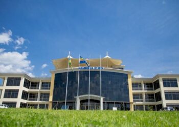 Nyanza: Yasanganywe umurima w’urumogi avuga ko ari umuti w’inka
