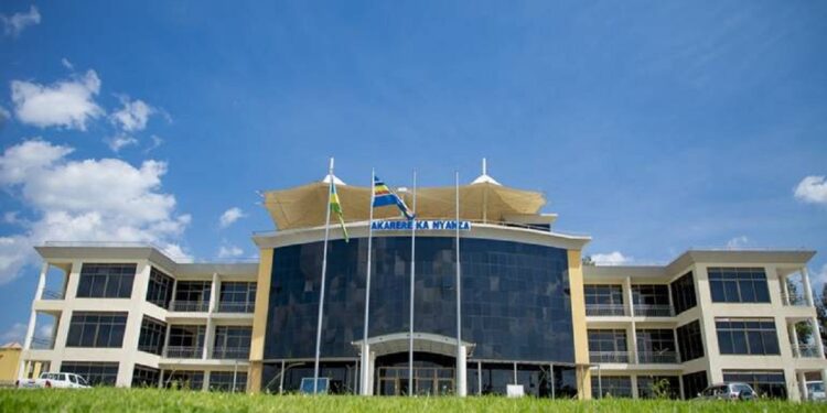 Nyanza: Yasanganywe umurima w’urumogi avuga ko ari umuti w’inka
