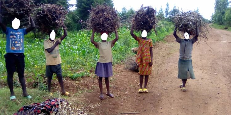 Rwamagana-Musha: Umubare w’abana bataye ishuri waratumbagiye