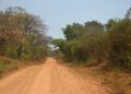 Malawi: Umugabo ukomoka mu Rwanda yafatanywe magendu y’amakara