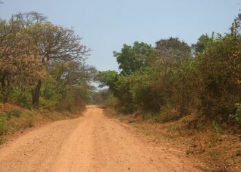 Malawi: Umugabo ukomoka mu Rwanda yafatanywe magendu y’amakara