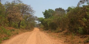 Malawi: Umugabo ukomoka mu Rwanda yafatanywe magendu y’amakara