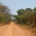 Malawi: Umugabo ukomoka mu Rwanda yafatanywe magendu y’amakara