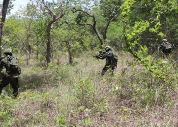 Cabo Delgado: Ingabo z’u Rwanda zishe inyeshyamba zibohora Ruvuma na Pundanhar