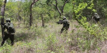 Cabo Delgado: Ingabo z’u Rwanda zishe inyeshyamba zibohora Ruvuma na Pundanhar