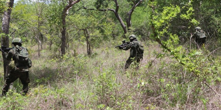 Cabo Delgado: Ingabo z’u Rwanda zishe inyeshyamba zibohora Ruvuma na Pundanhar