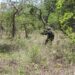 Cabo Delgado: Ingabo z’u Rwanda zishe inyeshyamba zibohora Ruvuma na Pundanhar