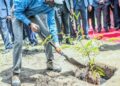 Perezida Kagame yateye igiti cy’ubucuti muri Zambia