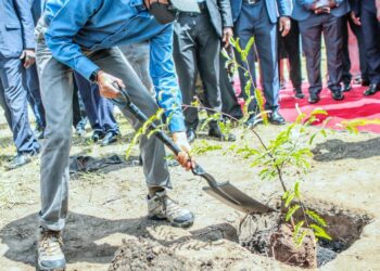 Perezida Kagame yateye igiti cy’ubucuti muri Zambia