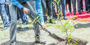 Perezida Kagame yateye igiti cy’ubucuti muri Zambia