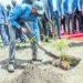 Perezida Kagame yateye igiti cy’ubucuti muri Zambia