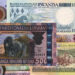 Ubukungu bw’u Rwanda bukomeje kuzahuka