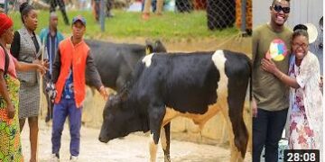 Umuhanzi Vava(Dore Imbogo dore imvubu) yaguze inka yahawe na Bruce Melody