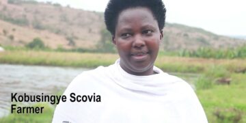 HOW IFAD DAM PROJECT INCREASED MILK PRODUCTION IN RWANDA