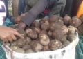 Ahafatwaga nk’ikigega cy’ibirayi naho birarya umugabo bigasiba undi
