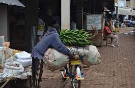 Henshi mu Rwanda barataka inzara
