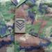 RDF yahinduye uko amapeti agaragara ku myambaro