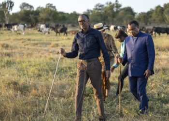 Perezida Kagame yagabiye Inka z’inyambo mugenzi we Sassou Nguesso
