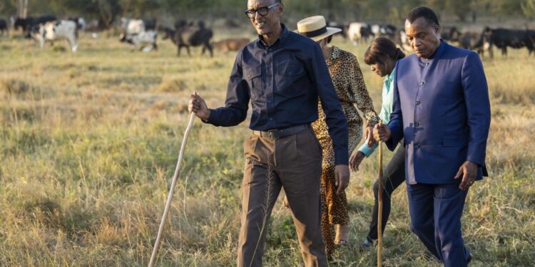 Perezida Kagame yagabiye Inka z’inyambo mugenzi we Sassou Nguesso