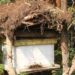 Abavumvu babangamiwe n’imiti iterwa mu myaka