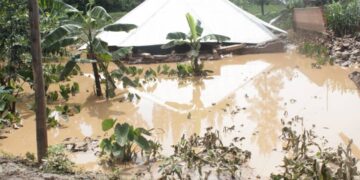 Umuburo ku banyarwana mu ntangiriro za Gicurasi