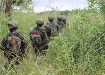 Mozambique: Ingabo z’u Rwanda zirukanye umutwe witwaje intwaro  wa  Al Shabab mugace ka Eráti muri Mozambique