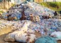 Abakozi ba Green Tech Africa baravuga ko ubuzima bwabo bushobora kujya mu kaga kubera kutagira ibikoresho by’Akazi