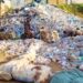 Abakozi ba Green Tech Africa baravuga ko ubuzima bwabo bushobora kujya mu kaga kubera kutagira ibikoresho by’Akazi