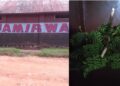Karenge: COHAMIRWA Ltd yabaye igisubizo cy’umusaruro w’Ibitoki wapfaga ubusa ubengera inzoga zikunzwe nk’INDATWA na SOMA WUMVE
