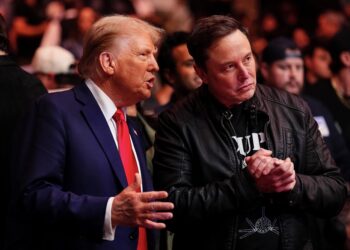 Elon Musk ashyigikiye igitekerezo cya Trump cyo kwegukana Greenland