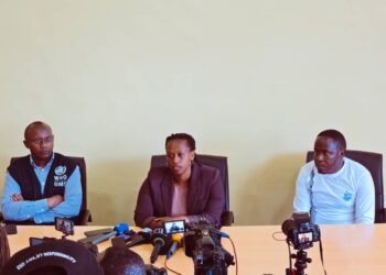 Gisagara: 54% by’abarwaye Malaria bavuwe n’Abajyanama b’Ubuzima