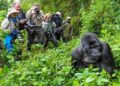 Urwego rw’ubukerarugendo rwinjirije u Rwanda arenga miliyoni 600$ mu 2024