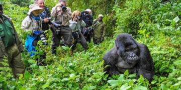 Urwego rw’ubukerarugendo rwinjirije u Rwanda arenga miliyoni 600$ mu 2024