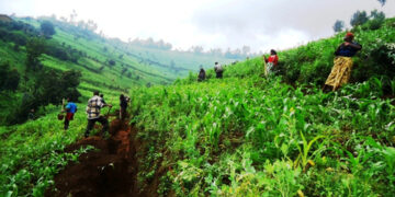 Amateka y’umunsi mpuzamahanga w’ibidukikije ndetse n’icyumweru cy’ibidukikije mu Rwanda