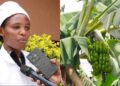 Menya uburyohe buhebuje bw’inzoga ya “MPA NGUHE” yengwa n’Akahebuje Ltd yo mu Karere ka Rwamagana